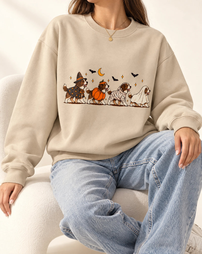 Pet Cosplay In Halloween Custome Tshirt