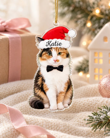 Personalized Dog Cat Acrylic Keepsake Ornament