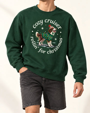 Retro Groovy Pet Holiday Graphic Pullover Tshirt
