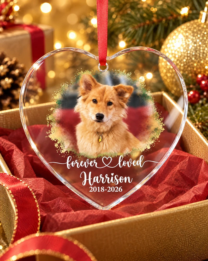 Pet Memorial Ornament Personalized
