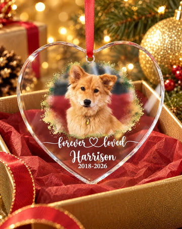 Pet Memorial Ornament Personalized