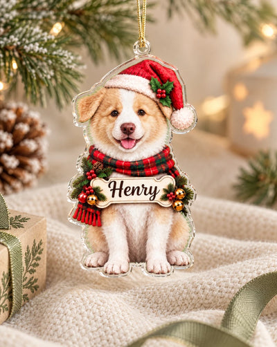 Havjoy Studio b6d6d8b4-8f50-440e-8857-475e2d1f034c