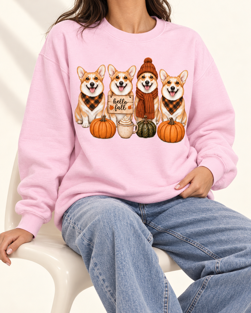 Hello Fall Pet Tshirt