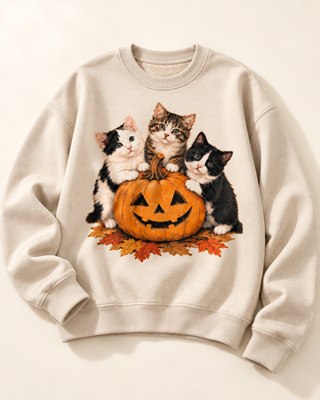 Kitties Play with Pumpkin | Custom T-shirt