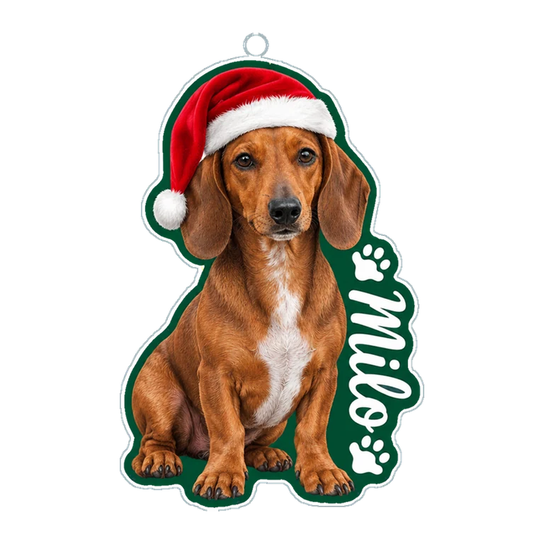 Personalized Pet Picture Christmas Ornament