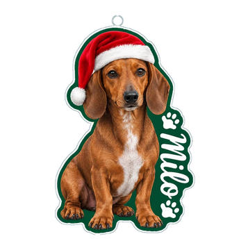 Personalized Pet Picture Christmas Ornament